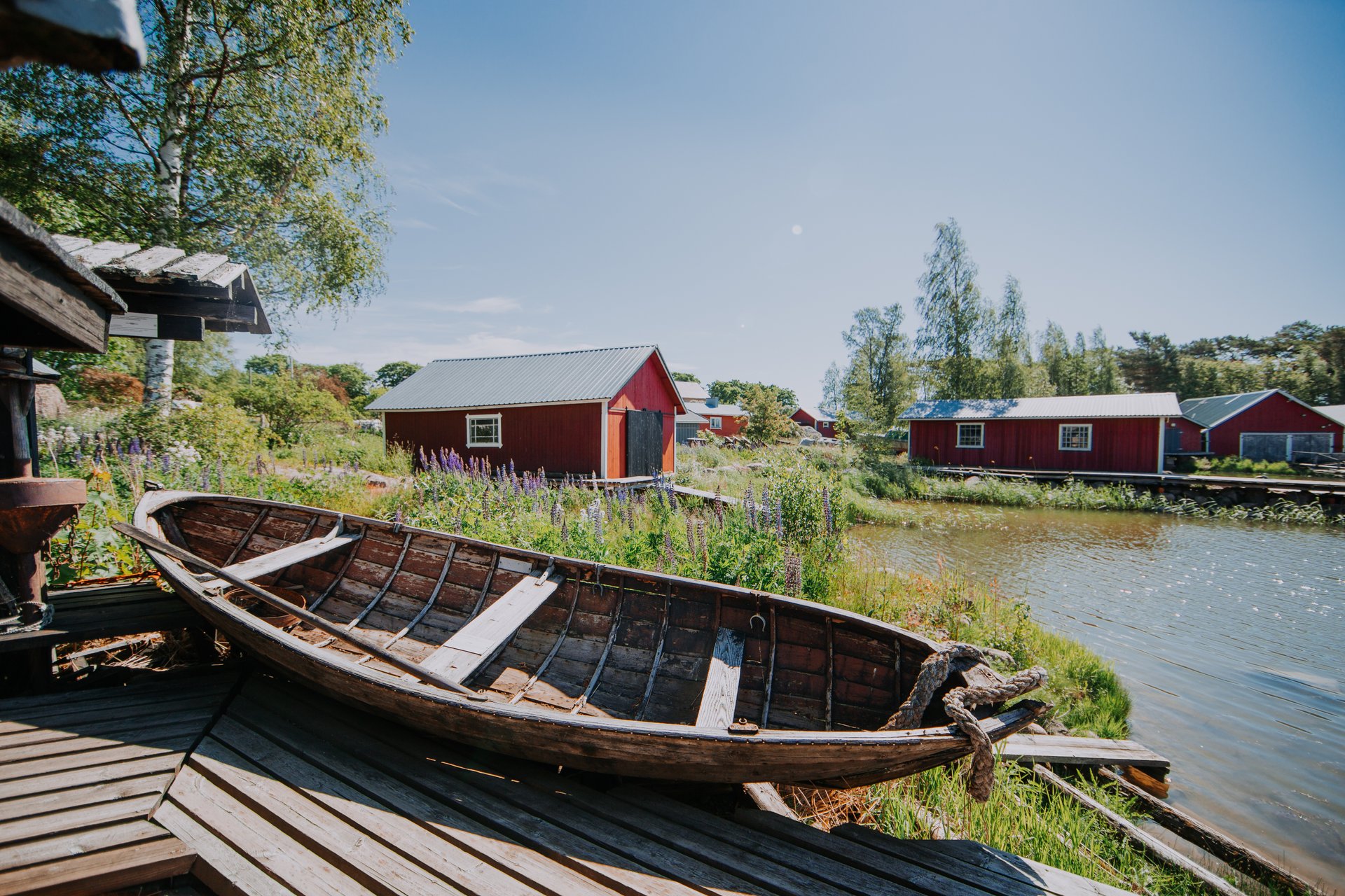 Vanha puuvene lepää puualustalla kesäisenä päivänä Kaunissaaressa. Taustalla näkyy punaisia lautamökkejä, joiden katot ovat vaaleanharmaita. Maisemaa ympäröivät vehreät puut ja kukkivat luonnonkukat, erityisesti värikkäät lupiinit, jotka tuovat esiin paikan luonnonläheisyyden. Vedenpinta kimmeltää auringonpaisteessa ja taivaalla ei näy pilviä, luoden rauhallisen ja idyllisen tunnelman.